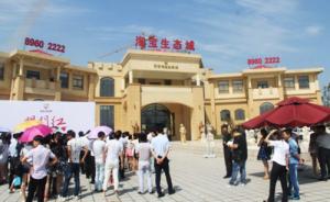 杭州一公司在三地建“淘宝城”被诉，称“想站在巨人肩膀上”
