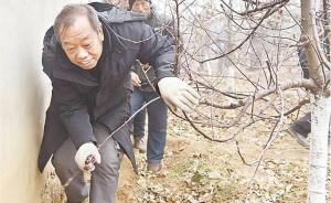 “太行新愚公”、河北农业大学教授李保国逝世，享年58岁