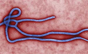 世界头条|WHO：埃博拉病毒已致887名感染者死亡
