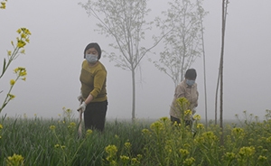 环保部约谈显成效：沧州、临沂、郑州PM2.5下降约1/5