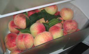 桃子放冰箱半个月毒倒人，专家盘点5类食物不宜放冰箱