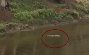 四川泸县一男子行窃被追跳河溺亡，百人围观无人施救