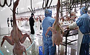 河南一企业将20吨腐败鸭肉就地掩埋，致周边空气地下水污染