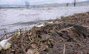 丽江拉市海现大量死鸟，官方称自然死亡后沉湖、在枯水期暴露