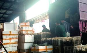 湖北武汉有市场回收死虾做虾仁，加工点辩称只是 “脑死亡”