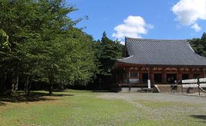 京都醍醐寺：密教文化的宝库如何诞生