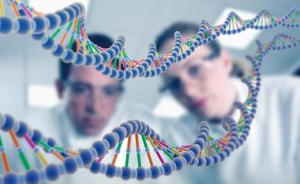 乳腺癌研究最新突破：93种易感基因有望形成个性化治疗方案