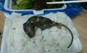 湖南衡阳一高校学生食堂吃出死老鼠，校方：将整改已辞退厨师