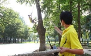 苏州两学校将开设爬树课：会安树木保护器，有赞成有反对