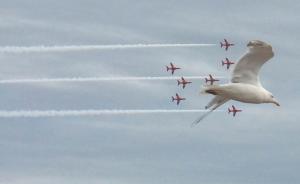 讲武谈兵｜不列颠之殇：英国航空工业战后如何走向衰落