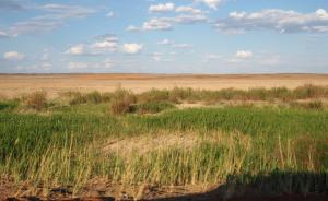 新疆八成以上的草原退化，5年“奖补”牧民逾百亿元退牧还草
