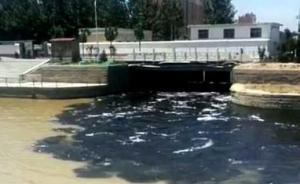 河南濮阳环保局回复网友污水直排举报：城市河道是个纳污河