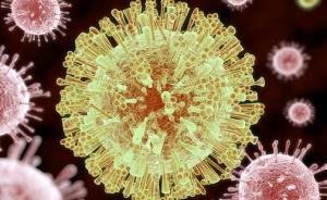 华人科学家成功克隆出寨卡病毒，有助加速疫苗研发