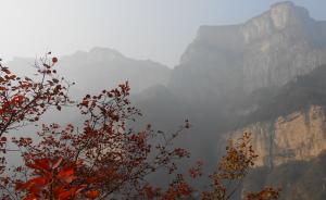 环保部督查河南新乡：两项大气污染指标增幅居全省第一