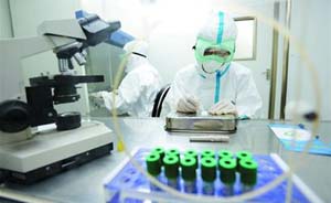 2小时验出埃博拉，上海企业4年前就发明了快速检测试剂盒