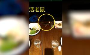饭吃一半活老鼠掉进餐盘，涉事上海西餐厅Wagas停业整顿