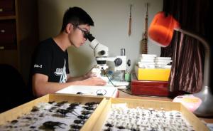 浙江一高中生二度发现昆虫新物种，5年自制标本上万件