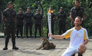 一头美洲豹参加奥运圣火传递时逃跑袭击兽医，被当场击毙