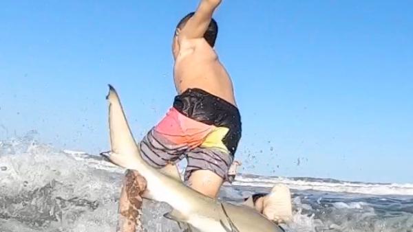 鲨鱼来捣乱，吓坏了9岁冲浪小子