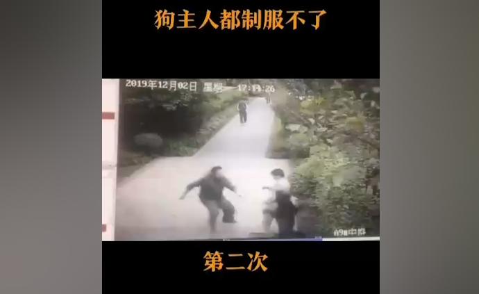 福州一男子在小区内被猛犬撕咬拖行，民警建议被害人起诉索赔