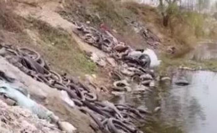 央视调查：洛阳一冶炼厂废料直排黄河支流，村民称鸟喝了就死