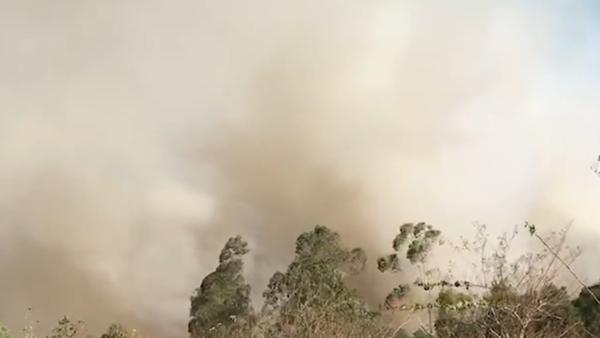 佛山突发山火，当地疏散居民超500人