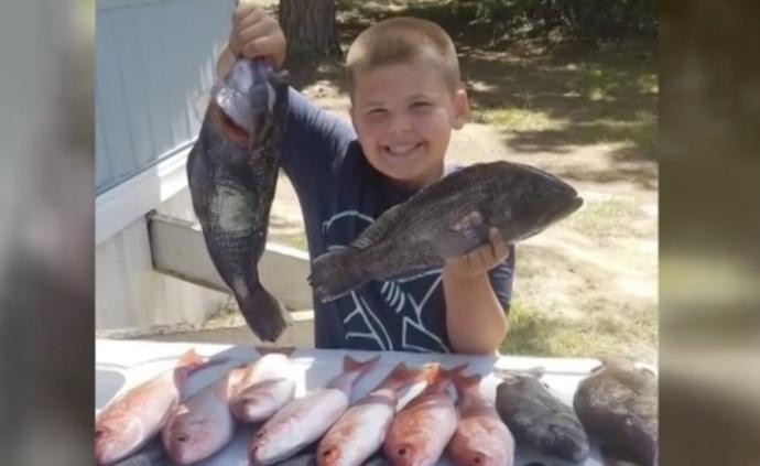 美国9岁男孩被父亲误杀，捐器官救3人