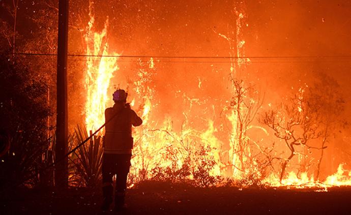 澳大利亚山火加剧：悉尼周边火势巨大，官方称或持续燃烧数周