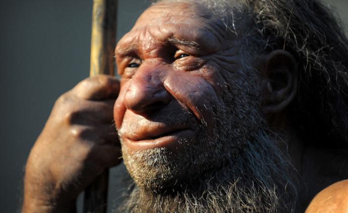 现代人为什么比尼安德特人好看？他们在60万年前就自我驯化