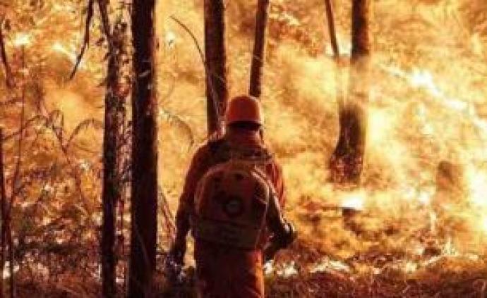 广东森林火灾多由野外违规用火所致，9月以来已刑拘38人