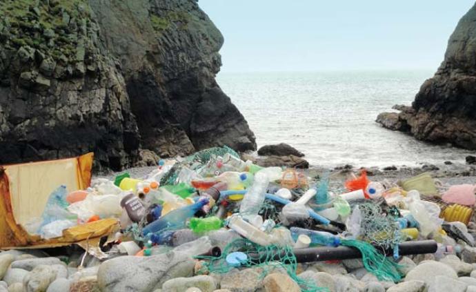 每年1200万吨海洋塑料哪儿去了？中国学者有了新发现