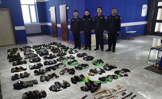 黑龙江警方破获走私出售珍贵野生动物案，查获熊掌214只