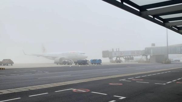 禄口机场现大雾，百余架航班延迟或取消