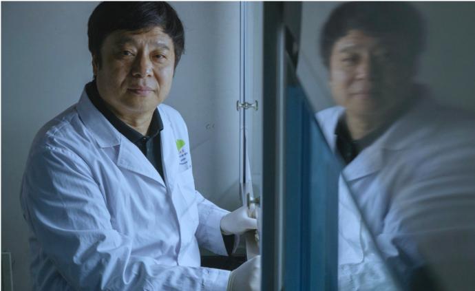 《自然》年度十大人物邓宏魁：基因编辑干细胞治艾滋病白血病
