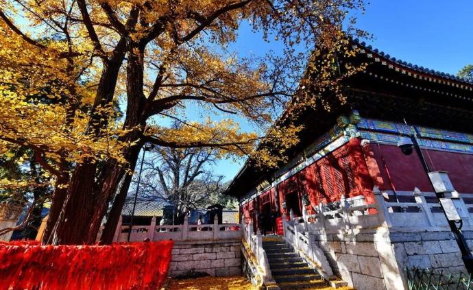 又到新年，京城十二座著名古寺，祈求什么最灵验？