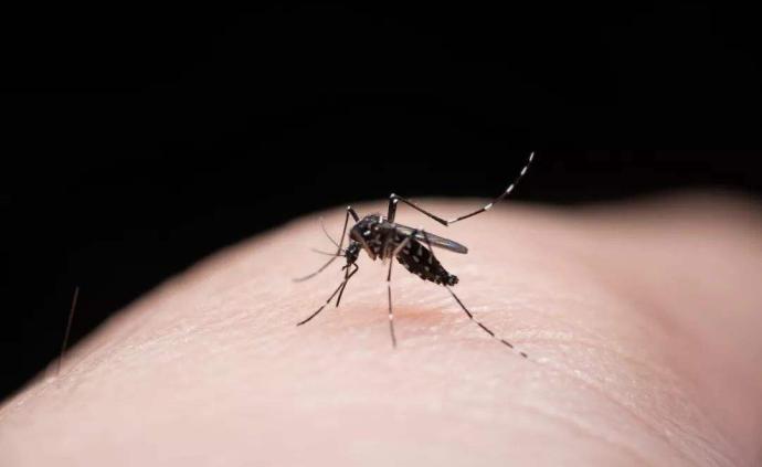 新疆宣告消除疟疾，中央9年投入近千万元支持防控