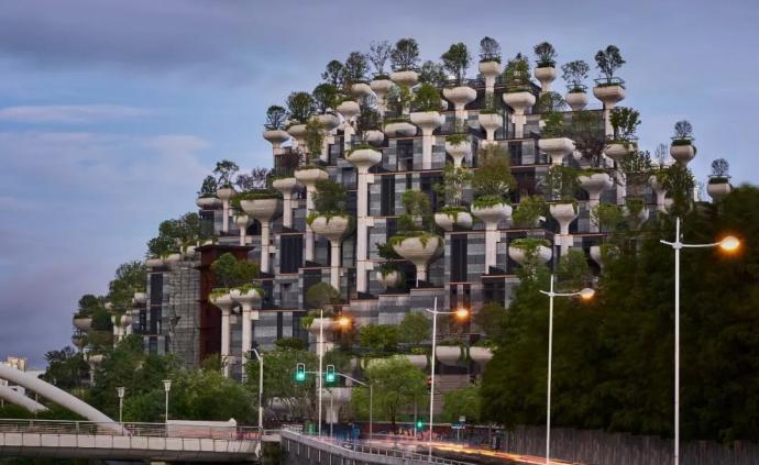 在上海苏州河畔屋顶种1000棵树，建筑界的达芬奇出手