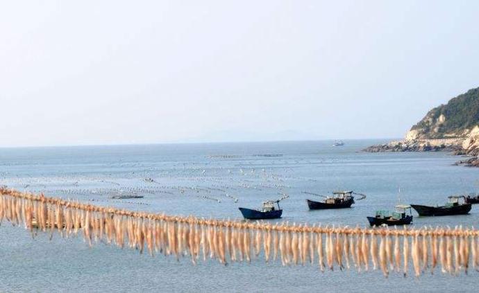 执法检查报告：渔民失海现象普遍，养殖者质量安全责任需强化