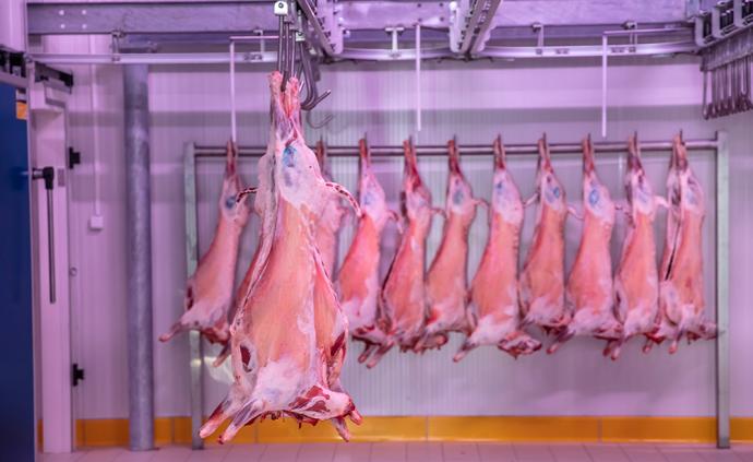 新年第二批：中央储备冻猪肉1月9日再次竞价交易2万吨