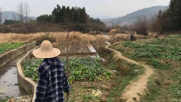 教师辞去公职，带家长孩子“耕读传家”