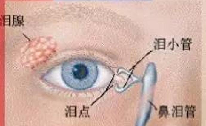 寶寶為啥老是淚汪汪？