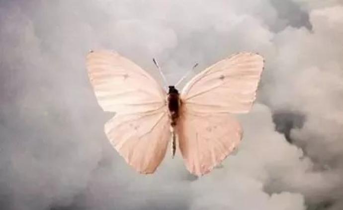 蝴蝶效应真的存在吗？