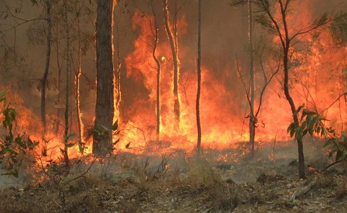 “最严重山火”拖累澳大利亚经济，旅游农业建筑等行业受重挫