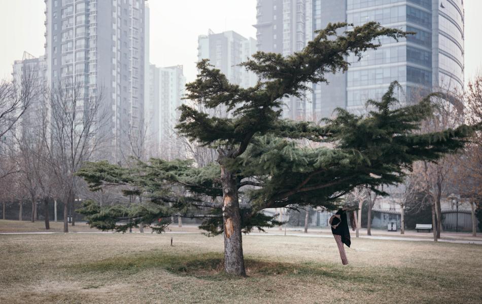 18 南湖公园 South Lake Park  2016年，北京望京南湖公园里的一棵松树上挂着一件衬衣，干冷的天气伴着轻微的雾霾，那天公园里几乎没有人。 拷贝