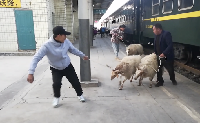 新春走基层丨大凉山“慢火车”25年没涨价，可带猪羊