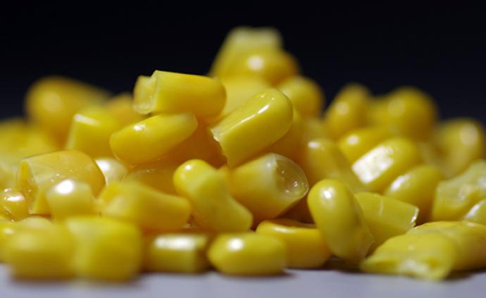 三种国产转基因玉米、大豆获生物安全证书，为十年来首次