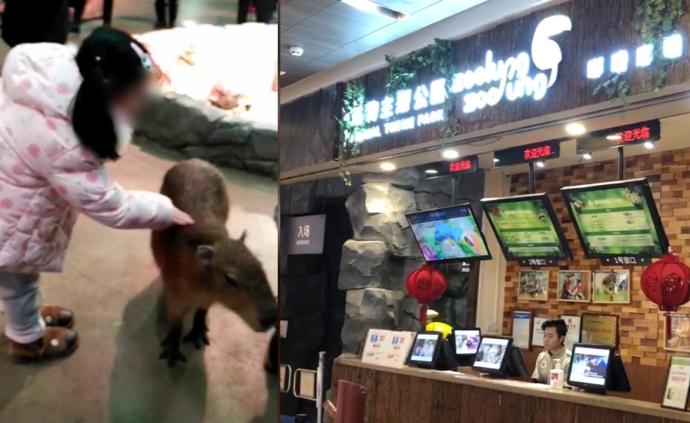 武汉一室内动物园仍营业，可亲密接触动物