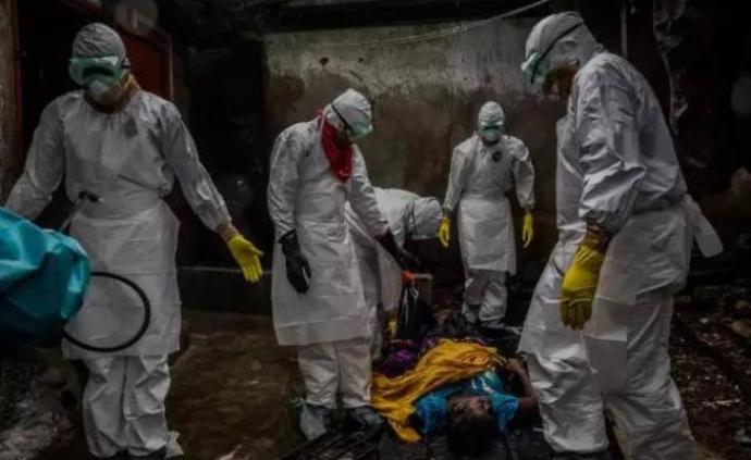 埃博拉病毒：生命的黑板擦
