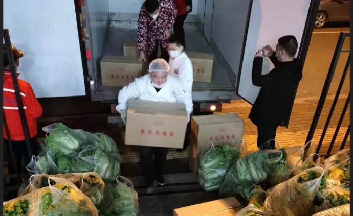 湖北荆门：种植户全家上阵采摘 “爱心菜”，送到武汉医院