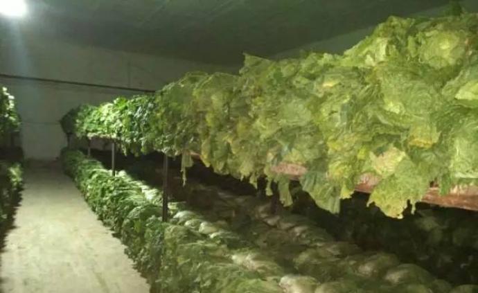 两部委部署北方大城市投放冬春蔬菜储备